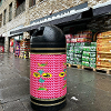 Fore Street Bins Pink Birds